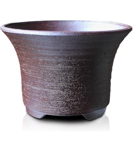 Amazon.co.jp: 有田焼 古伊万里金彩 8号鉄鉢 : DIY・工具・ガーデン